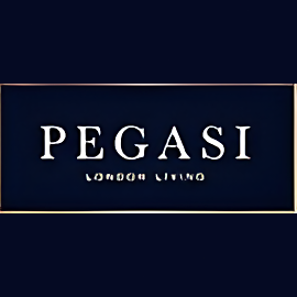 Pegasi Management Company LTD