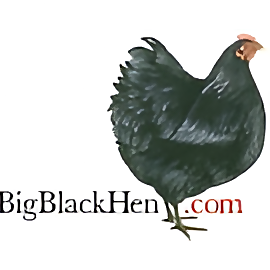Big Black Hen.Com