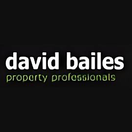 David Bailes