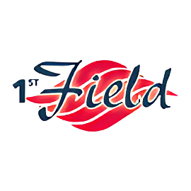 1St Field Properties