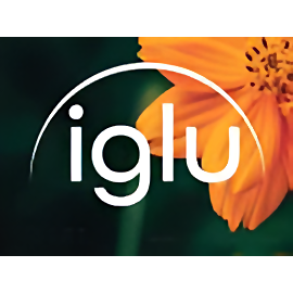 Iglu