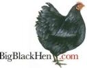 Big Black Hen