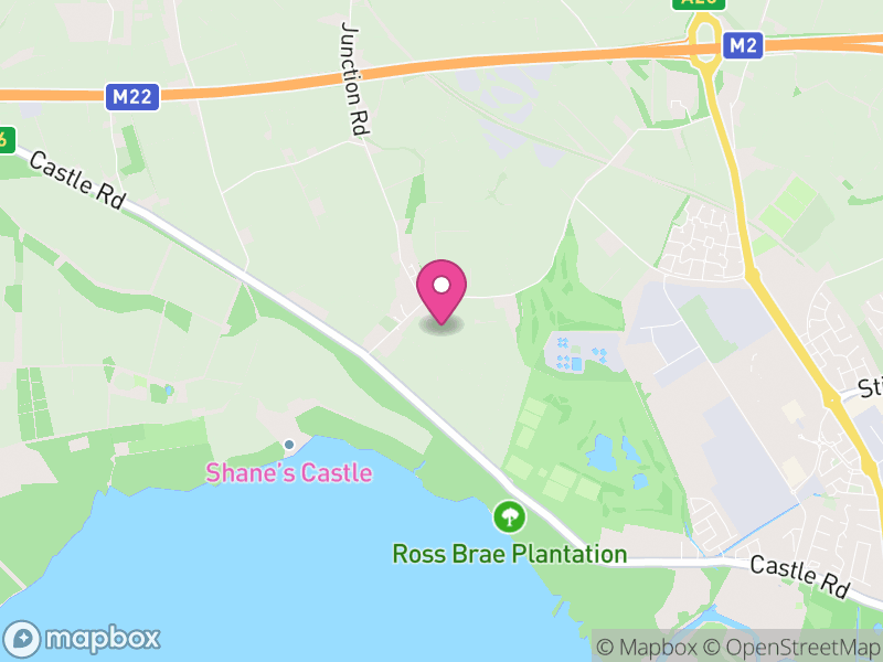 Map of BT41 Estate Agents