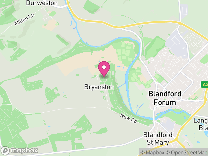 Map of DT11 Estate Agents