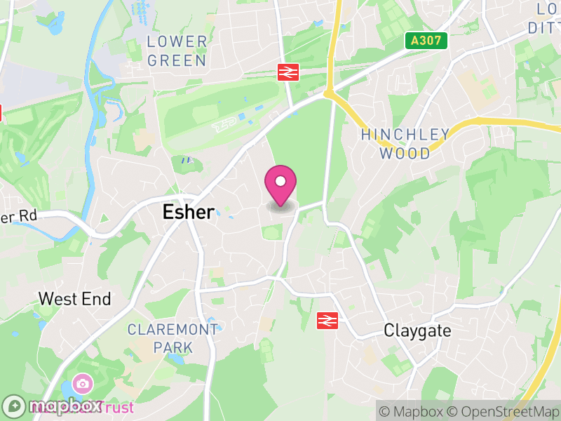 Map of KT10 Estate Agents