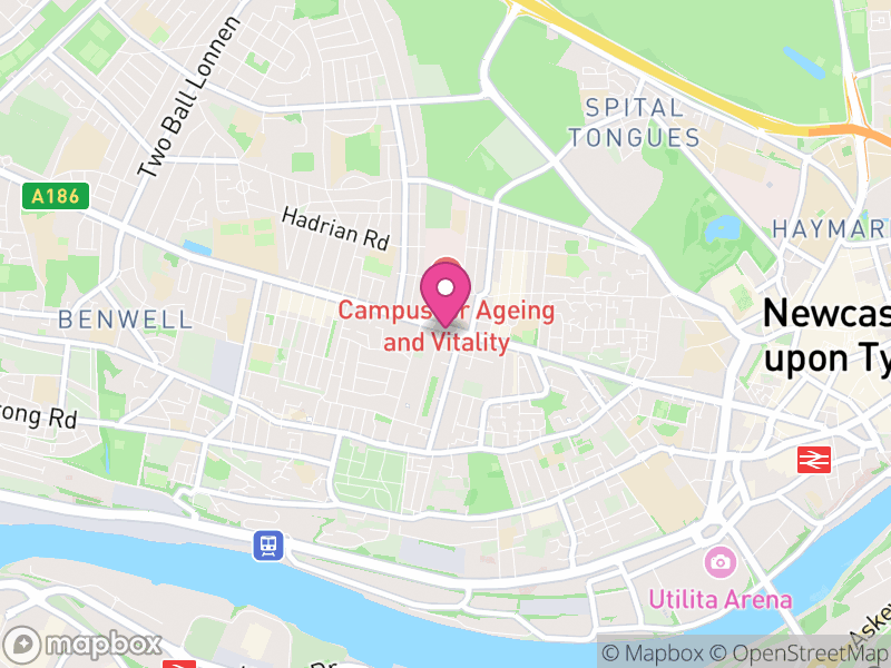Map of NE4 Estate Agents