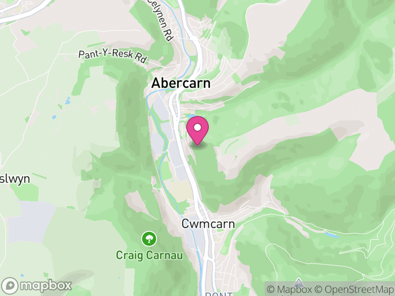 Map of NP11 Estate Agents