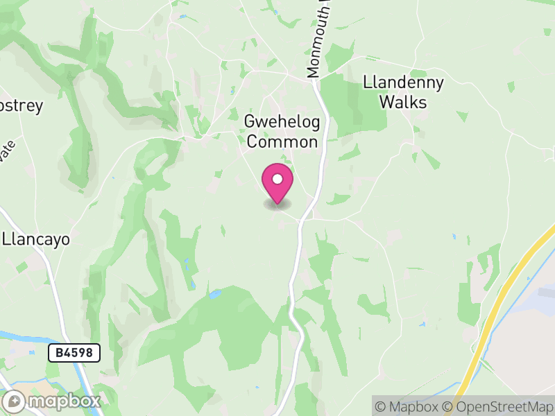 Map of NP15 Estate Agents