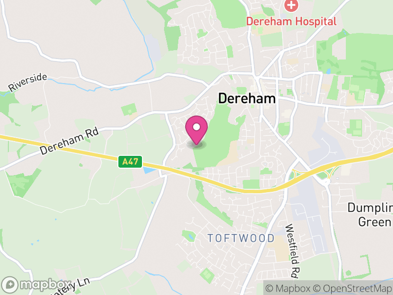 Map of NR19 Estate Agents