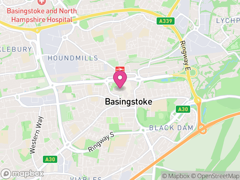 Map of RG21 Estate Agents