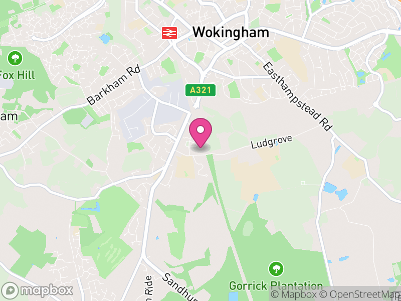 Map of RG40 Estate Agents