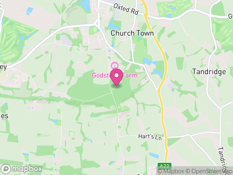 Map of RH9 Estate Agents