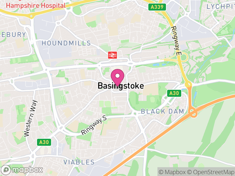 Map of Basingstoke Letting Agents