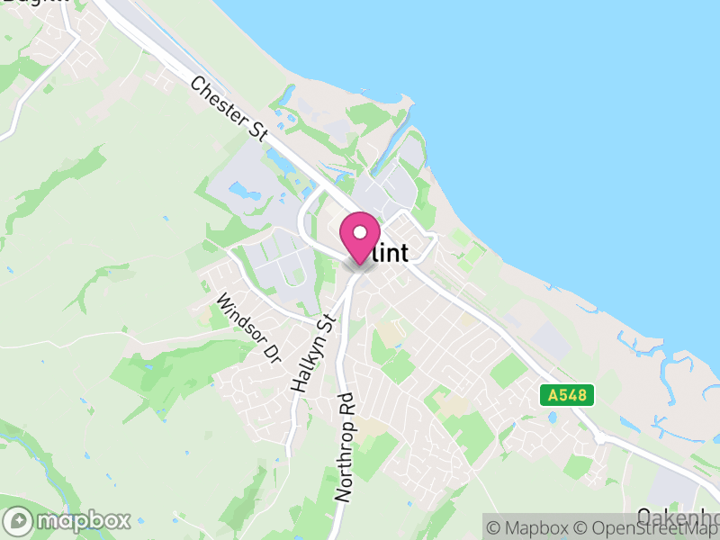 Map of Flint Letting Agents
