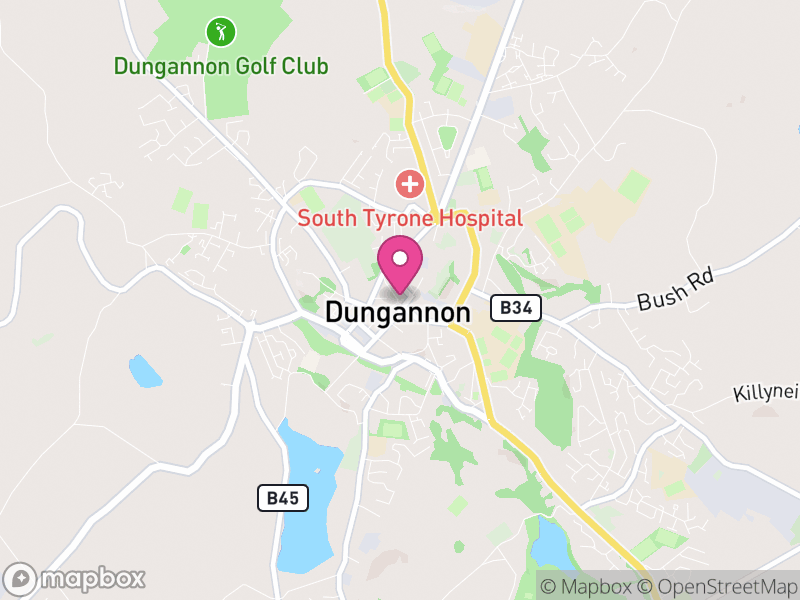 Map of properties for sale in Dungannon