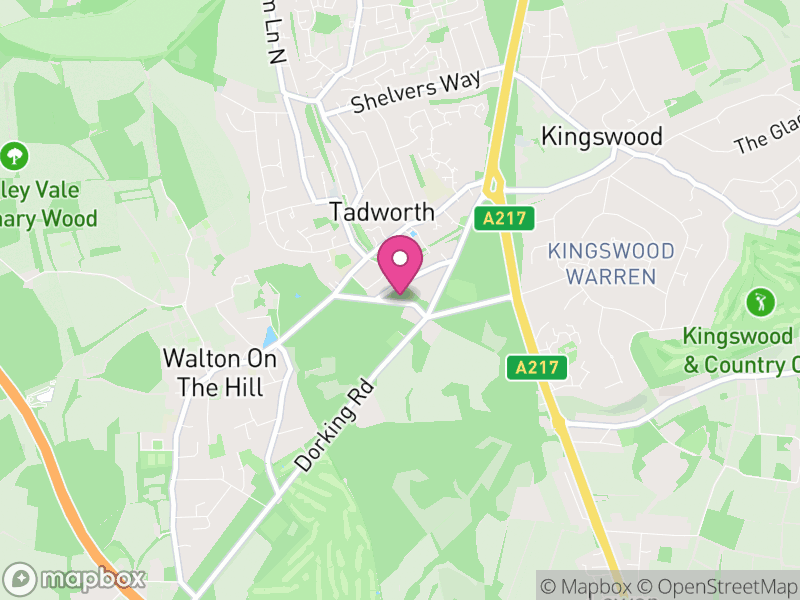 Map of properties for sale in KT20