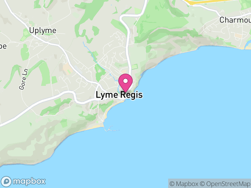 Map of properties for sale in Lyme Regis