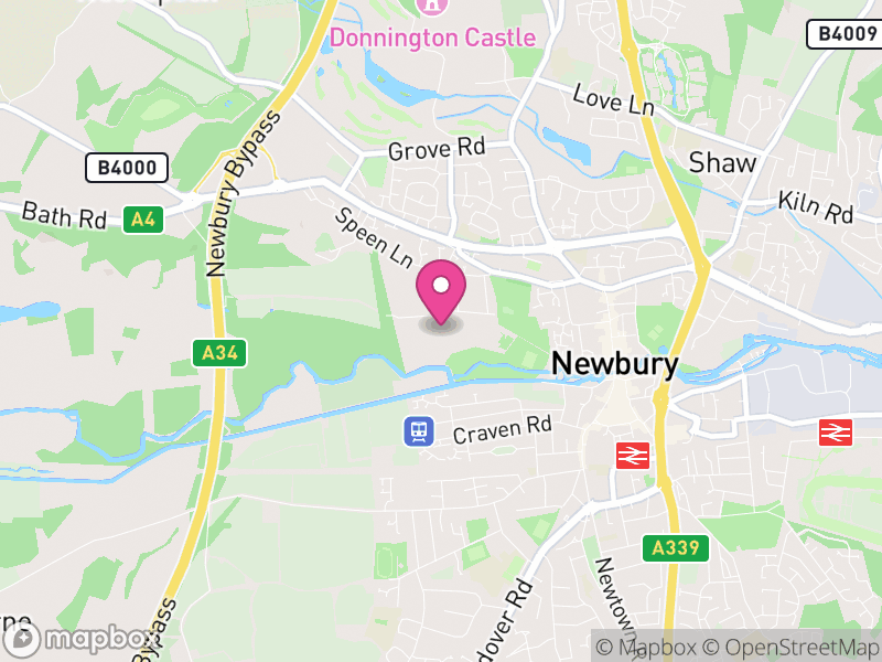 Map of properties for sale in RG20