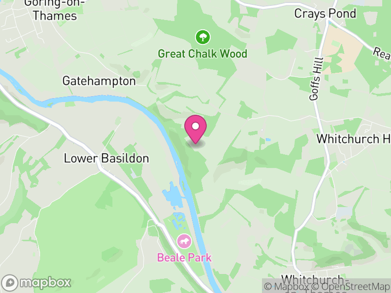 Map of properties for sale in RG8