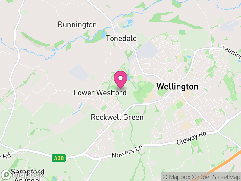 Map of properties for sale in TA21