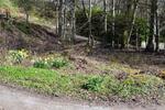 Plot of Land, Bridge Of Cally, Blairgowrie, PH10
