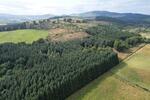 Kirkhill Wood, Sauchen, Aberdeenshire AB51