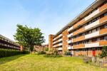 Camellia House, Idonia Street, London, SE8