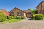 Celandine Gardens, Bradway, S17 4JJ