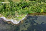 Coastal Woodland, Tayvallich, Lochgilphead, Argyll