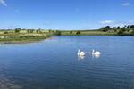 Gillingshill Reservoir & Nature Reserve, Arncroach, Anstruther, Fife, KY10