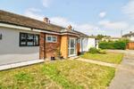 Collins Meadow, Harlow