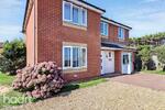 Tasman Drive, NORWICH