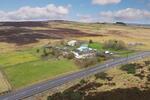 Ramscraigs Boarding Kennels, Dunbeath, Caithness, KW6 6EY