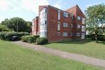 Red Willow, Harlow