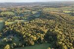 Blake's Copse and Whitford Copse, Corfe, Taunton, Somerset, TA3