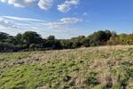 Land at Runham Lane, Harrietsham