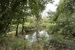 6.079 Acres Wodland, Pelham Lane, Great Alne, Alcester